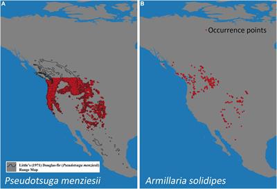 Predicting Present and Future Suitable Climate Spaces (Potential Distributions) for an Armillaria Root Disease Pathogen (Armillaria solidipes) and Its Host, Douglas-fir (Pseudotsuga menziesii), Under Changing Climates